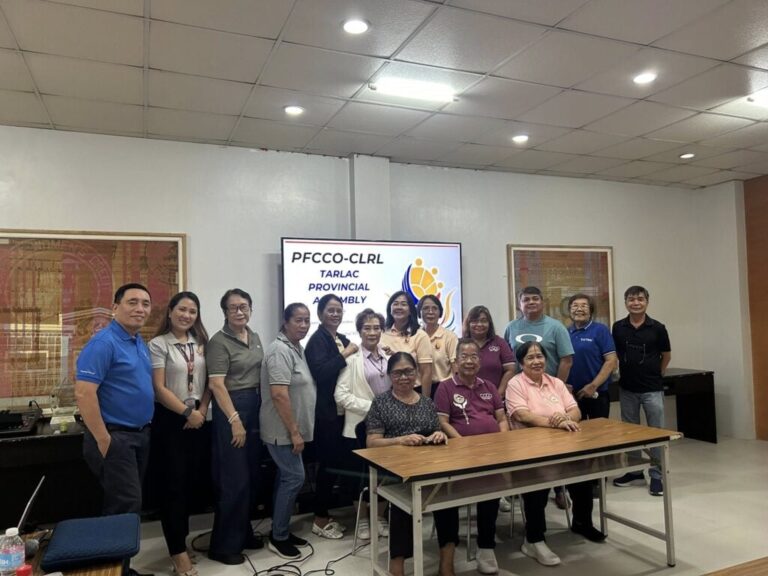 Provincial Assembly and Election 2026