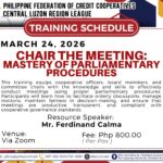 CHAIR THE MEETING: MASTERY OF PARLIAMENTARY PROCEDURES